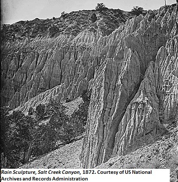 Salt_Creek_Canyon_Utah.jpg