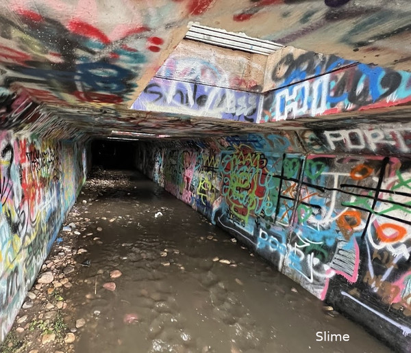 2024-10-21-Sheep Tunnel.jpg