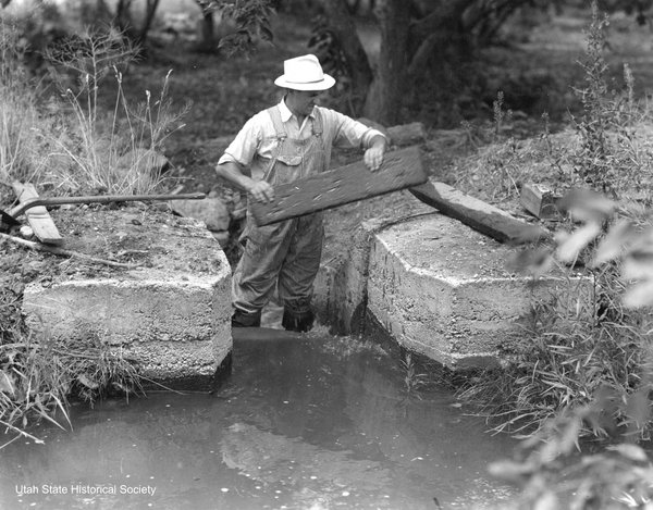 Irrigation_Canals_P_9.jpg