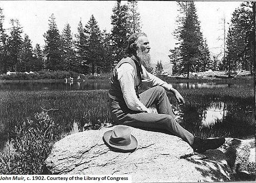 John Muir.jpg