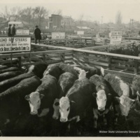 Ogden Union Stockyards 