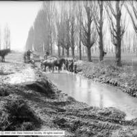 1000_South_Canal_Looking_West_Dredging_of_Canal.jpg