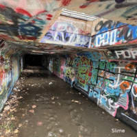 2024-10-21-Sheep Tunnel.jpg