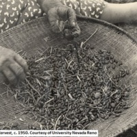 Pine Nut Basket.jpg